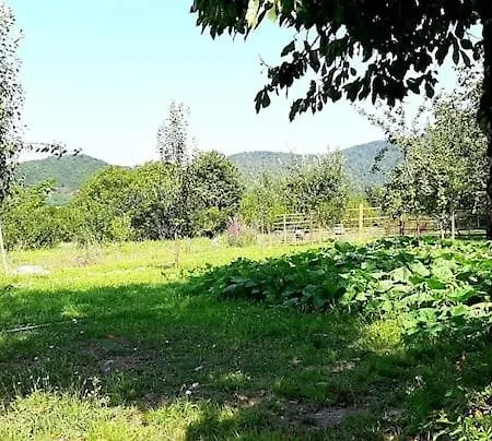 Old Oak Under The Mountain. Villa Gabala Exterior photo